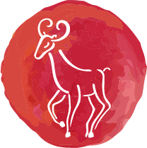 piedras y aries