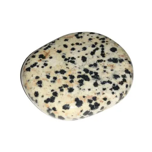 guijarro jaspe dálmata