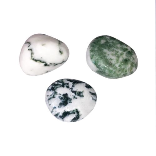 piedra rodada ágata árbol