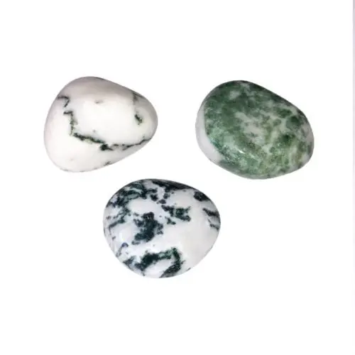 piedra rodada ágata árbol