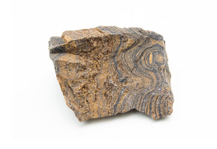 piedra estromatolita