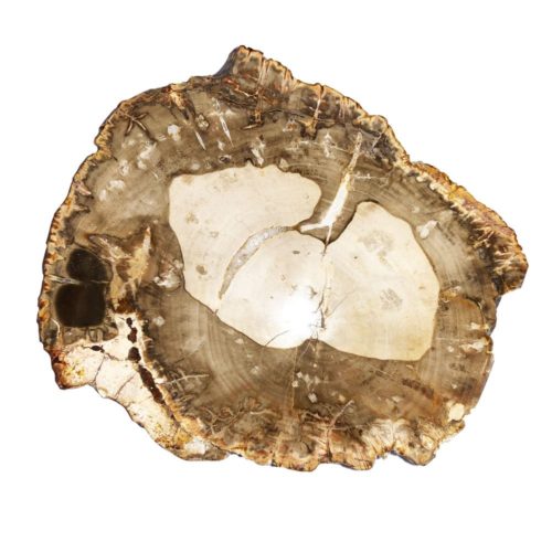 madera-petrificada-cbf02