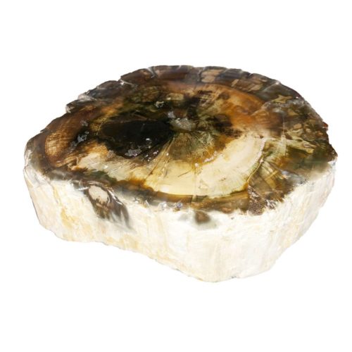 bois-fossilise-mcbf03