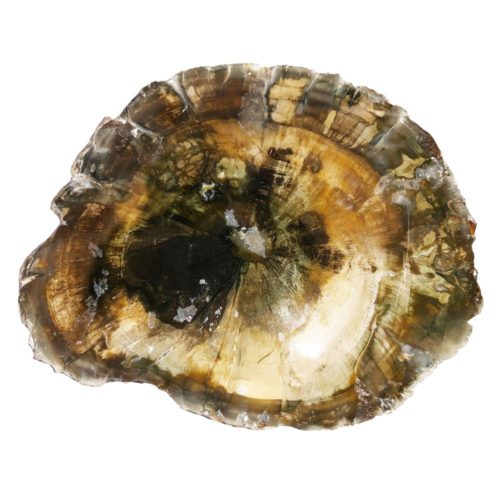 madera-petrificada-cbf03