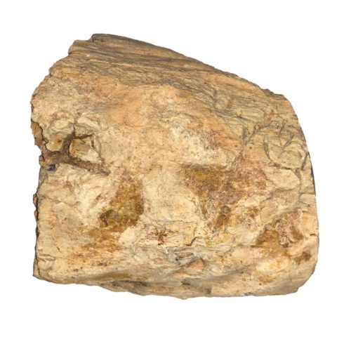 madera-petrificada-cbf05