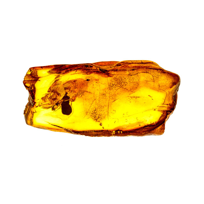 piedra succinum