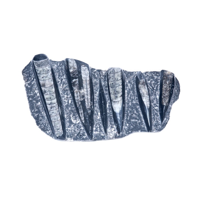 piedra de ortocaras