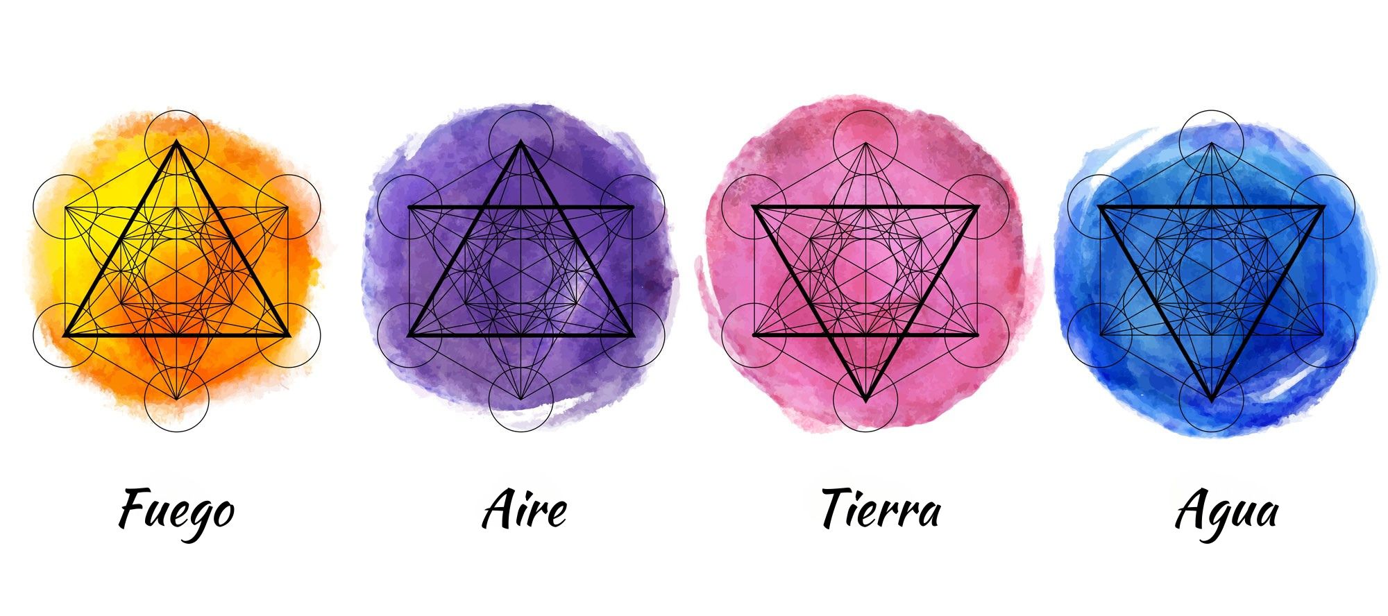 La Estrella y sus 4 elementos